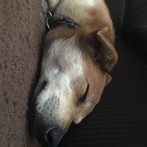 Meet your Posher, Jade